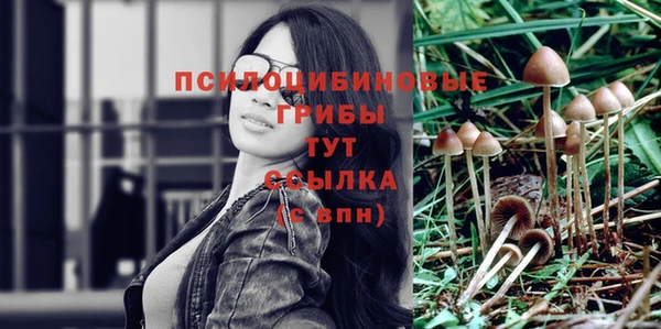 дурь Богданович