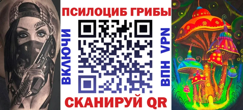 Псилоцибиновые грибы Psilocybine cubensis  Старица 